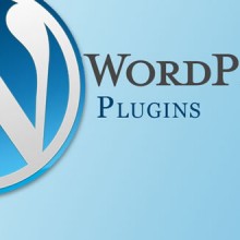Dealing with the WordPress Plug-in Problems