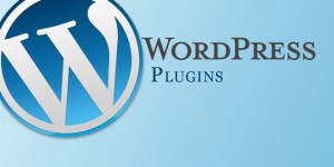 Dealing with the WordPress Plug-in Problems